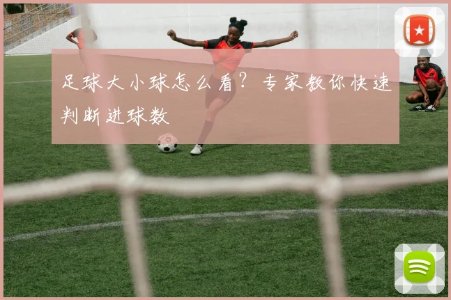足球大小球怎么看?专家教你快速判断进球数