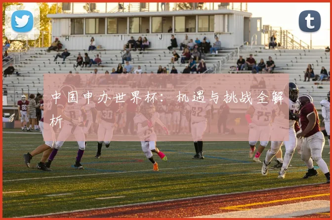 中国申办世界杯:机遇与挑战全解析